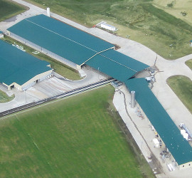 dairy phase-one arial