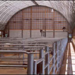 Agway barn interior