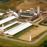 andreas dairy_aerial